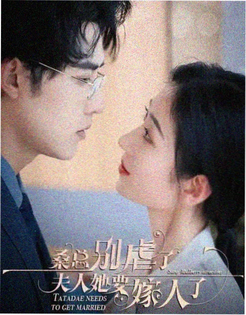 星空影视在线热播剧集追更 雾港谜案 海报
